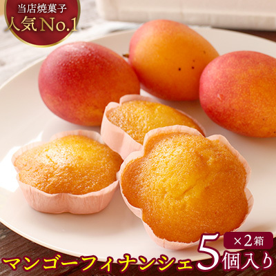 マンゴーフィナンシェ10個（５個入り×2箱） 完熟 マンゴー フィナンシェ 焼菓子 おかし 人気 菓子 花型 可愛い ごま油 美味しい ヘルシー スイーツ 贈り物 ギフト ケーキ屋 専門店 お土産 おみやげ プレゼント
