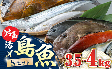 対馬 活〆 島魚セット 3.5ー4kg [WAC007] 冷蔵 鮮魚 魚 ぶり まぐろ 鮪 マグロ