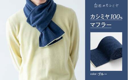 カシミヤ マフラー カシミヤ （ブルー）≪白田のカシミヤ≫ 