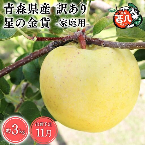 りんご 家庭用 星の金貨3kg[hi-0058-004]