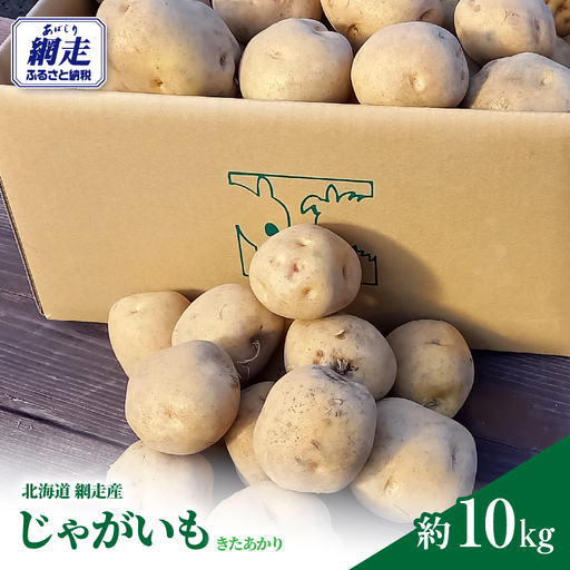 じゃがいも(きたあかり)10kg(網走産) ABP002 | じゃがいも じゃがいも じゃがいも じゃがいも じゃがいも じゃがいも じゃがいも じゃがいも じゃがいも じゃがいも じゃがいも じゃがいも