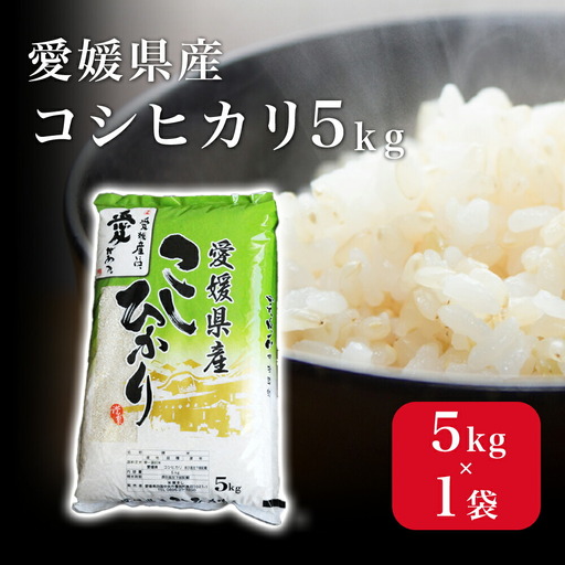 愛媛県産コシヒカリ5kg