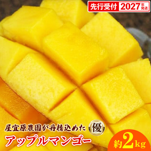 【先行受付】【2027年発送】屋宜原農園が丹精込めた「アップルマンゴー」優 約2kg - 先行予約 沖縄県産 産地直送 南国フルーツ 旬の味覚 季節の果物 贈り物 ギフト 沖縄県 八重瀬町