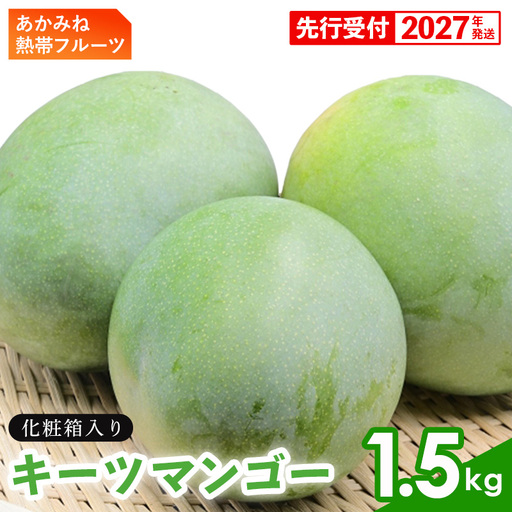 【化粧箱入】【先行受付・2027年発送】あかみね熱帯フルーツのキーツマンゴー 約1.5kg - 先行予約 沖縄県産 産地直送 南国フルーツ 旬の味覚 季節の果物 希少種 化粧箱 ギフト 沖縄県 八重瀬町