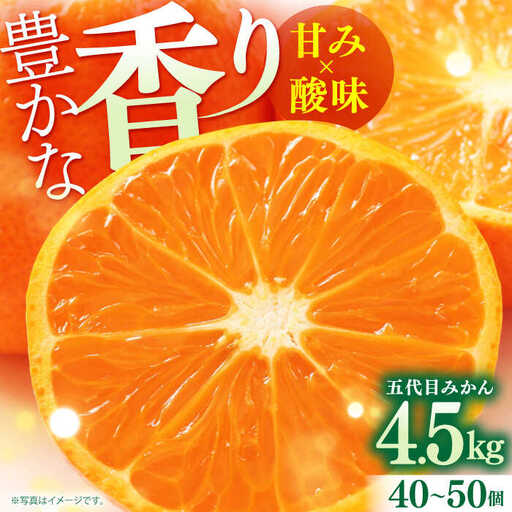 【2026年10月中旬以降発送】五代目みかん約4.5kg（40-50個） / 佐賀県 / 石橋果樹園 [41AAAJ003]
