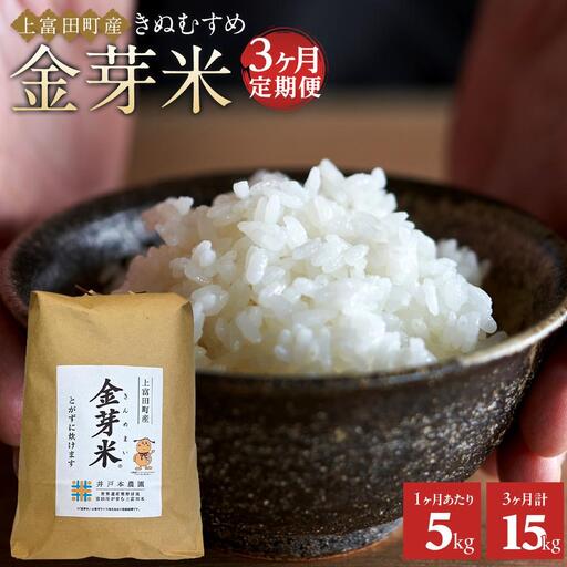 【 定期便 】令和8年産  上富田町産 金芽米 きぬむすめ 5kg × 3か月 井戸本農園