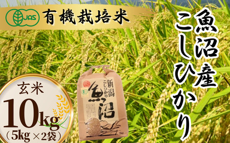 魚沼 コシヒカリ JAS有機栽培 玄米 5kg×2袋 わたなべ農園｜玄米 新潟県 小千谷市