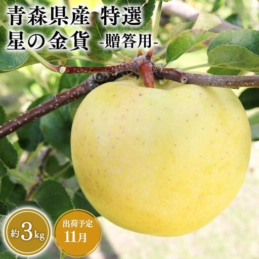 りんご 特選 星の金貨 3kg [hi-0058-046]