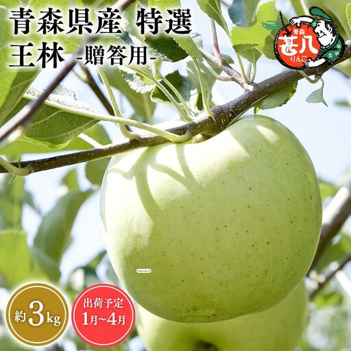 りんご 特選 王林 3kg [hi-0058-058-0104]