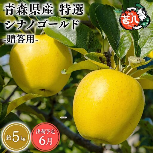りんご 特選 甚八りんごシナノゴールド５kg