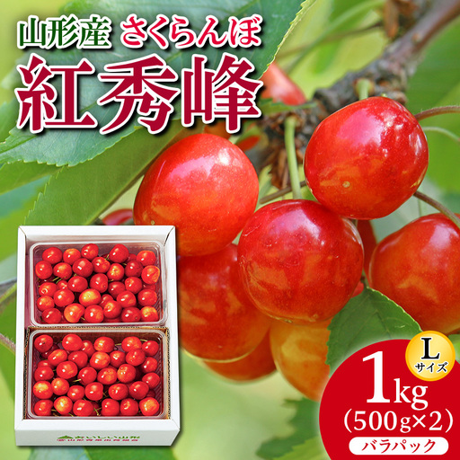 さくらんぼ 紅秀峰 L 1kg(500g×2) バラパック 【令和9年産先行予約】FS26-657
