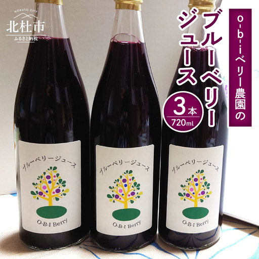 O-B-Iベリー農園のブルーベリージュース　720ml×3本 ブルーベリージュース 果汁飲料 ハイブッシュ ラビットアイ ブレンド 完熟 果物 ジュース 数量限定 ギフト 贈り物 山梨県 北杜市産 [h185]