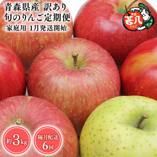 りんご 定期便 訳あり 3kg 隔月配送 定期便6回 訳あり りんご