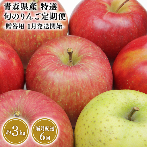 りんご 定期便 贈答用 3kg 隔月配送 定期便6回 贈答 りんご