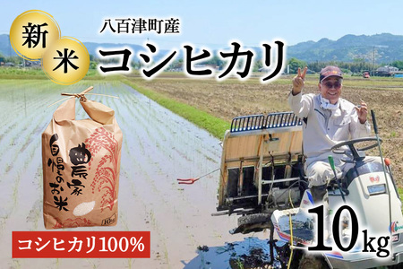 令和7年度米【すぐ発送】地元でも美味しいと評判！八百津町小川さんのコシヒカリ10Kg 申込  発送 可能 すぐにお届け