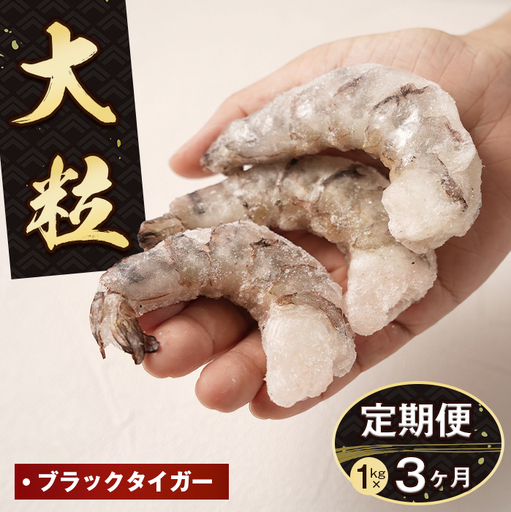 [定期便3ヶ月]大粒むきえび 1kg ブラックタイガー えび