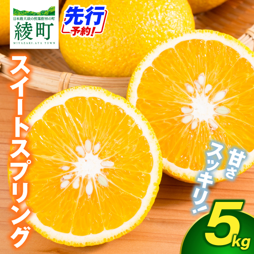 【先行予約】希少柑橘「スイートスプリング」5kg [化粧箱] 果物 フルーツ くだもの 柑橘 オレンジ みかんジュース おすすめ ギフト 贈り物 贈答 プレゼント おすそ分け おやつ スイーツ デザート 常温 産地直送 宮崎県 綾町 送料無料【JA綾町】_A0114-2581