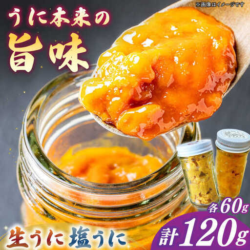 【お中元】生うに 一汐うに セット [JAQ024] うに