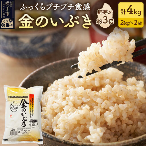 [玄米]米 金のいぶき 4kg(2kg×2袋) 令和7年産