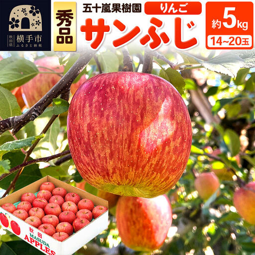【先行受付】12月中旬より発送 サンふじ【秀品】約5kg（14～20玉）りんご 林檎
