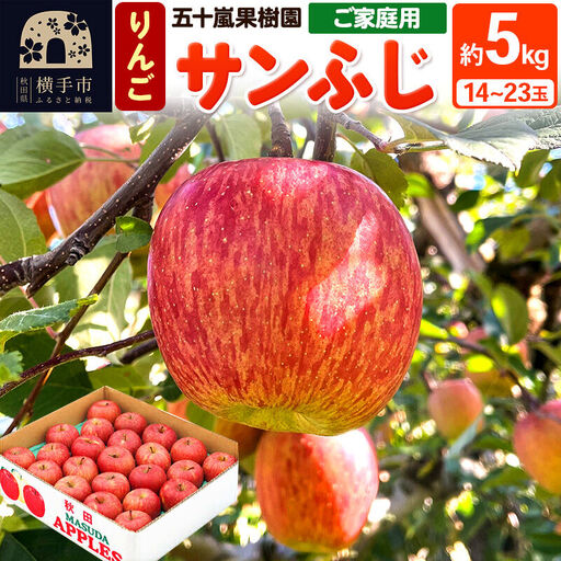 [先行受付]12月中旬より発送 サンふじ [ご家庭用]約5kg(14〜23玉)りんご 林檎