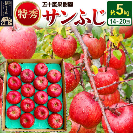 [先行受付]12月中旬より発送 サンふじ [特秀] 約5kg(14〜20玉)りんご 林檎