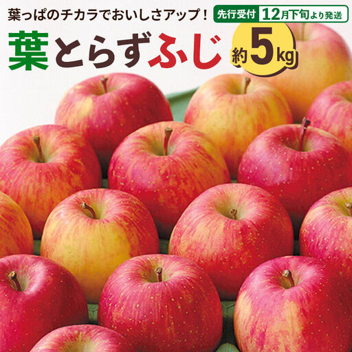 [先行受付 12月下旬より発送]横手産 葉とらずふじ 約5kg