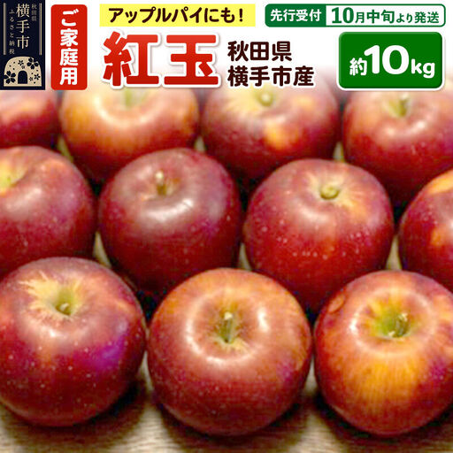 【先行受付】10月中旬より発送 アップルパイやタルトにも！横手市産りんご(紅玉) ご家庭用 約10kg