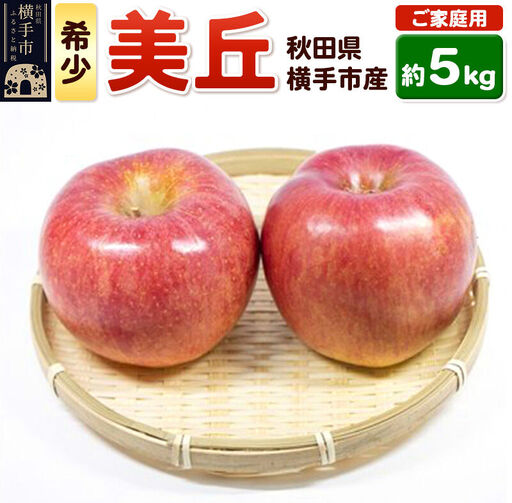 【先行受付 12月中旬より発送】希少品種！追熟でおいしさ倍増！横手市産りんご(美丘) ご家庭用 約5kg