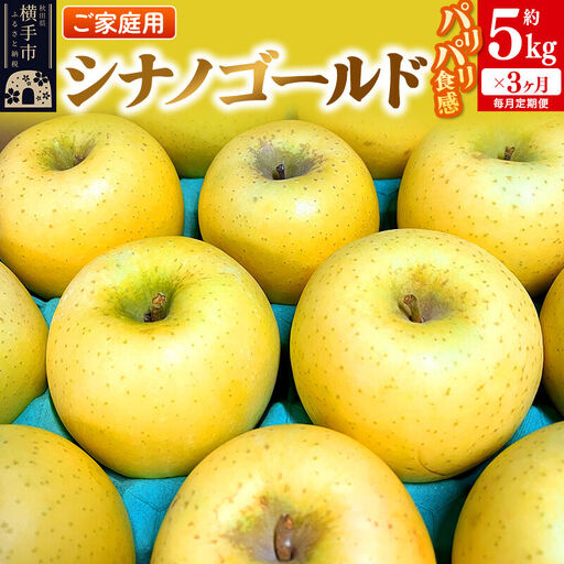 [先行受付]1月中旬より発送 [定期便3ヶ月]パリパリ食感シナノゴールド ご家庭用 約5kg(14〜23玉前後)×3回 計15kg 3か月 3ヵ月 3カ月 3ケ月