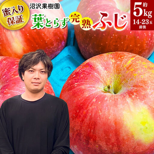 【先行受付】11月下旬より発送 《蜜ライトで蜜入り保証！》葉とらず完熟ふじ 約5kg りんご