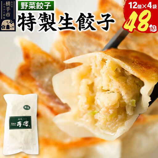野菜餃子（豚肉）12個入×4袋