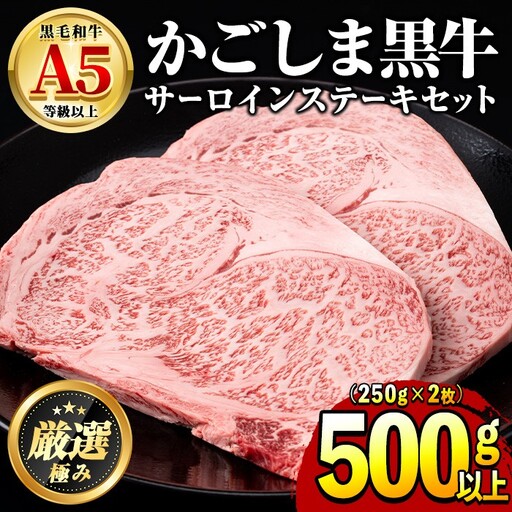 【30963】鹿児島県産黒毛和牛！A5等級サーロインステーキ(計500g・約250g×2枚) 国産 牛肉 肉 冷凍 サーロイン 鹿児島 ステーキ 焼肉 BBQ バーベキュー 【前田畜産たかしや】