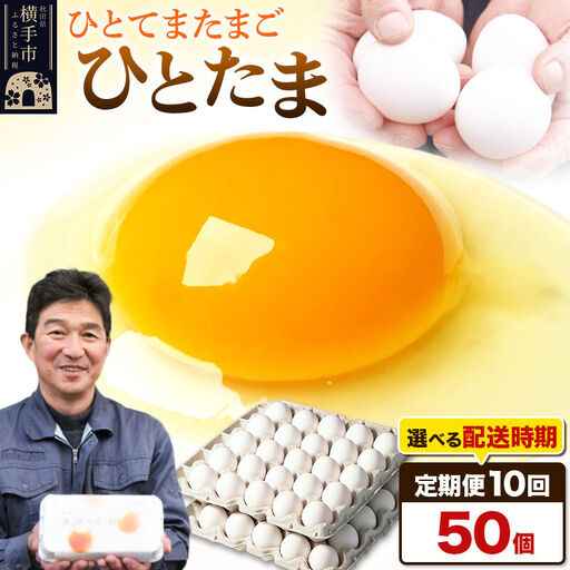 【常温発送】《定期便10ヶ月》ひとたま 50個（業務用）【発送時期が選べる】東海林養鶏場 ひとたま 卵 玉子 たまご タマゴ 10か月 10ヵ月 10カ月 10ケ月 開始時期選べる