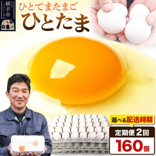 【常温発送】《定期便2ヶ月》ひとたま 160個（業務用）【発送時期が選べる】東海林養鶏場 ひとたま 卵 玉子 たまご タマゴ 2か月 2ヵ月 2カ月 2ケ月 開始時期選べる