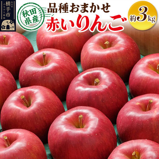 【先行受付】10月上旬より発送 りんご 品種おまかせ 季節の赤いりんご 約3kg（早生ふじ(やたか)、シナノスイート、早生ふじ(こまちふじ)、サンふじ）