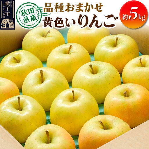 【先行受付】10月上旬より発送 りんご 品種おまかせ 季節の黄色いりんご 約5kg（トキ、ぐんま名月、シナノゴールド）