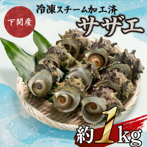 【約1kg】サザエ 大サイズ冷凍スチーム加工 サザエ FK