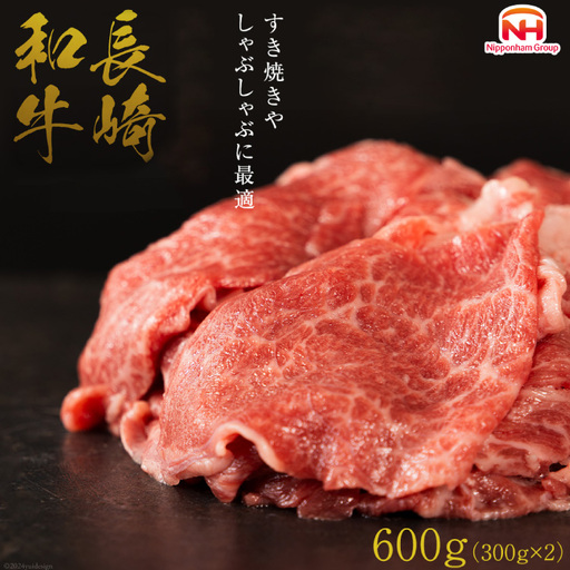 BI123 訳あり 牛肉 長崎和牛 切り落とし 計600g (300g×2P)