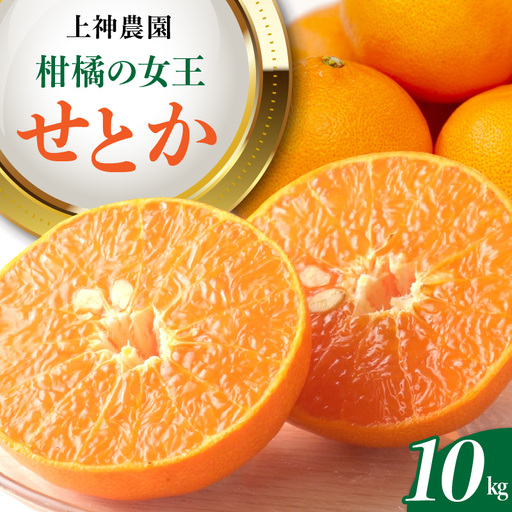 先行受付 2027年2月初旬～発送 広島県産 せとか 約10kg 柑橘