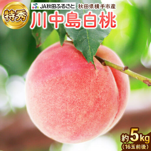 【先行受付】8月中旬より発送 秋田県横手市産 川中島白桃 特秀 16玉前後(約5kg)