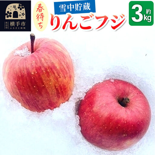 《先行受付！3月上旬より順次発送》雪中貯蔵 春待ちりんご フジ 3kg