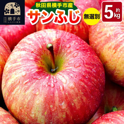 《先行受付！12月上旬より順次発送》秋田県横手市産 サンふじ りんご 無選別 約5kg