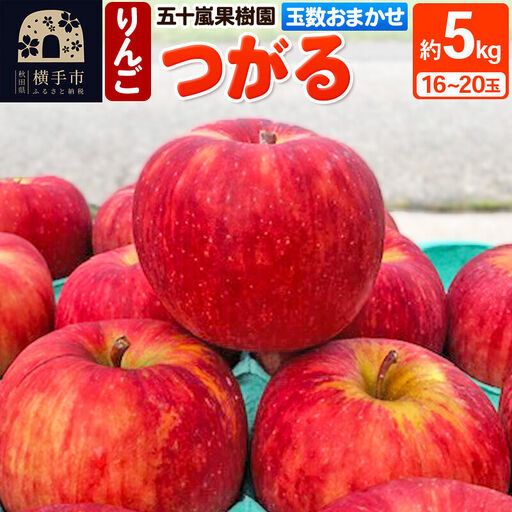 つがる りんご 約5kg（16～20玉）玉数おまかせ