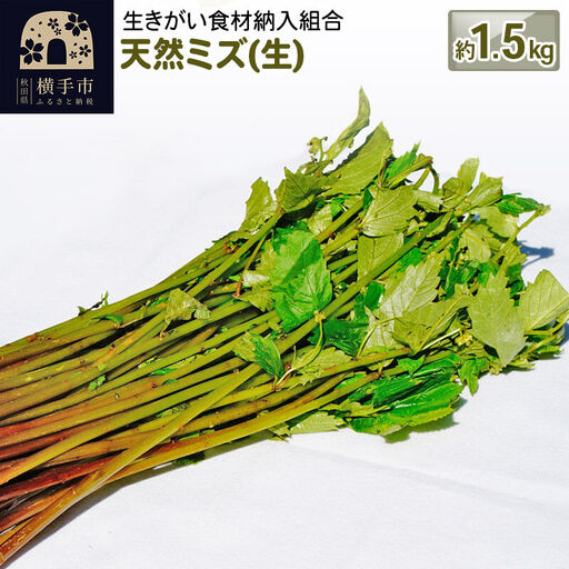 天然ミズ(生) 1.5kg