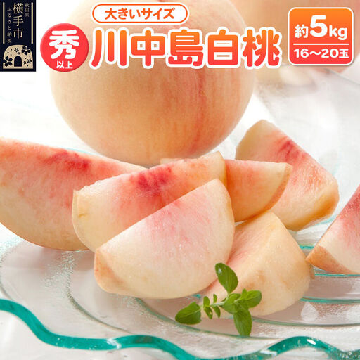 【先行受付】8月下旬より発送 横手市増田産の桃 川中島白桃 約5kg 秀以上 16～20玉 大きいサイズ