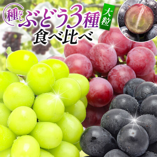 [先行受付]9月中旬より発送 [ぶどう3種食べ比べ]濃甘な完熟葡萄 横手市大沢地区産 旬な種無し大粒品種ぶどう 3種類詰合せ 巨峰 ピオーネ シナノスマイル クィーンニーナ タマユタカ 翠峰 ブトウ 種なし 詰め合わせ 食べ比べ フルーツ 果物 秋田