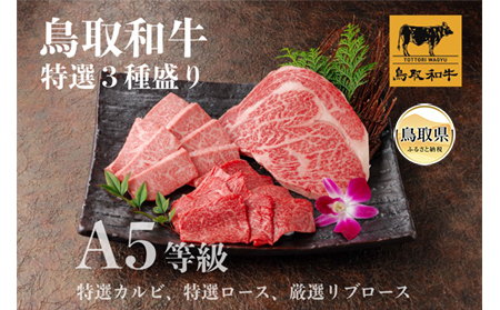 鳥取和牛 A5等級 特選3種盛り(特選カルビ150g、特選ロース150g、厳選リブロース200g)_T2600257