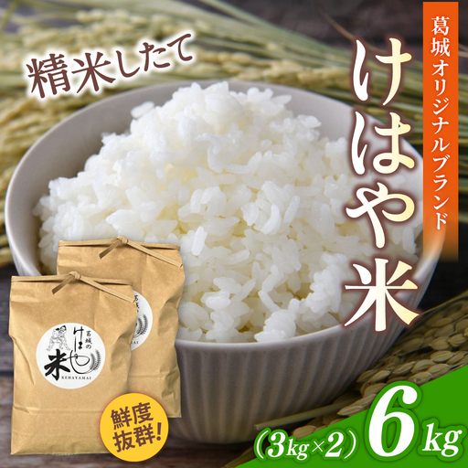 新米 けはや米 精米 6kg 令和8年度産  ヒノヒカリ 葛城市商工会青年部 奈良県 葛城市【nkss002A】