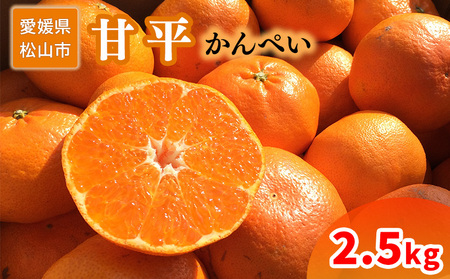 家庭用 甘平 2.5kg | かんぺい カンペイ 愛媛 みかん[2027年1月下旬頃から順次発送][SU0111]